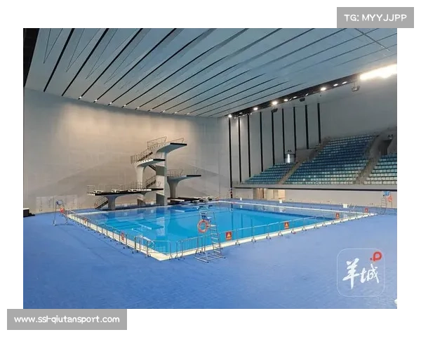 突尼斯电视台首次转播WNBA赛事 引领篮球文化新潮流